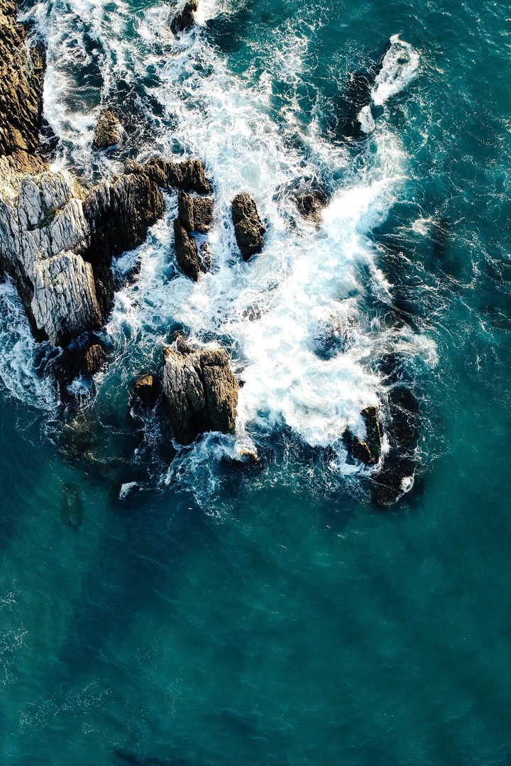 Ocean