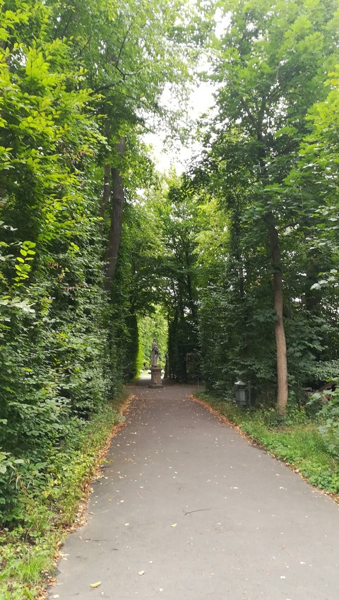 Wilanów 4