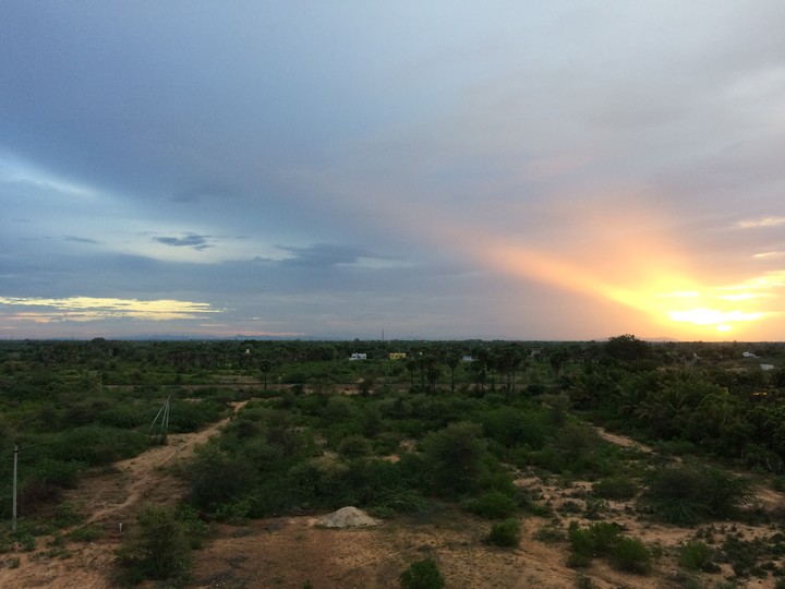 sunset nature