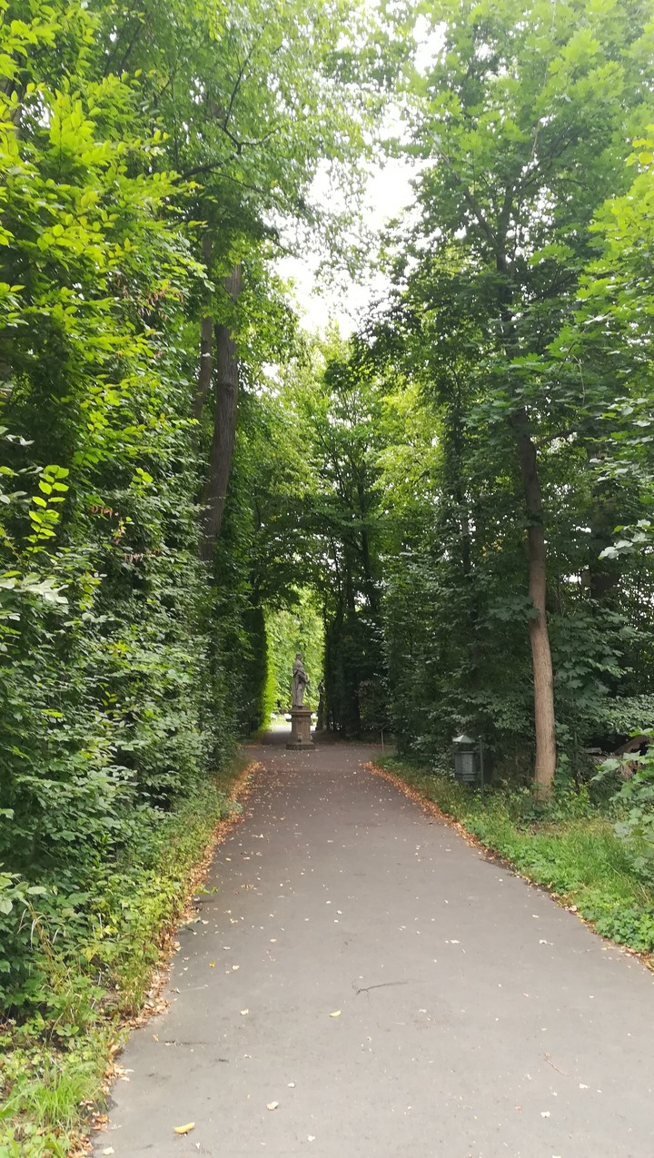 Wilanów 4