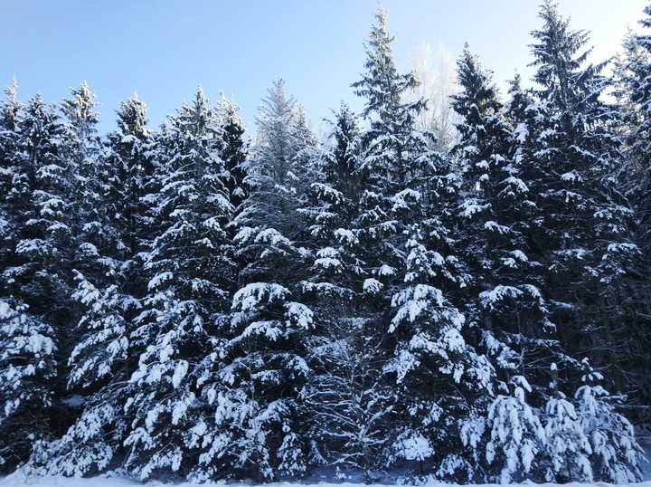 Winter