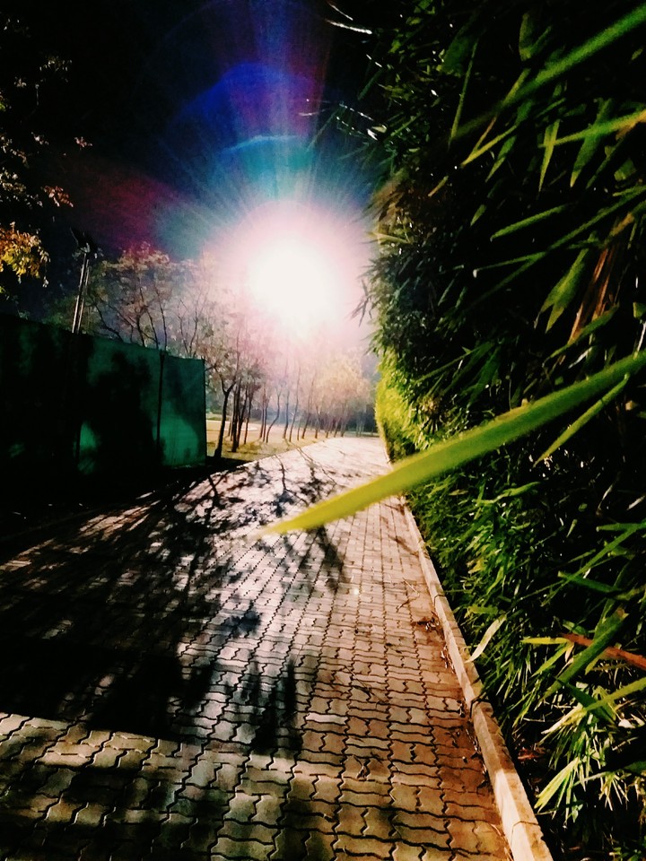 NightShot