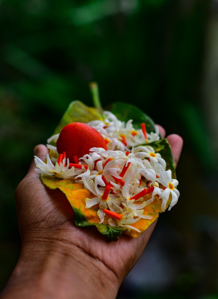 Flowers