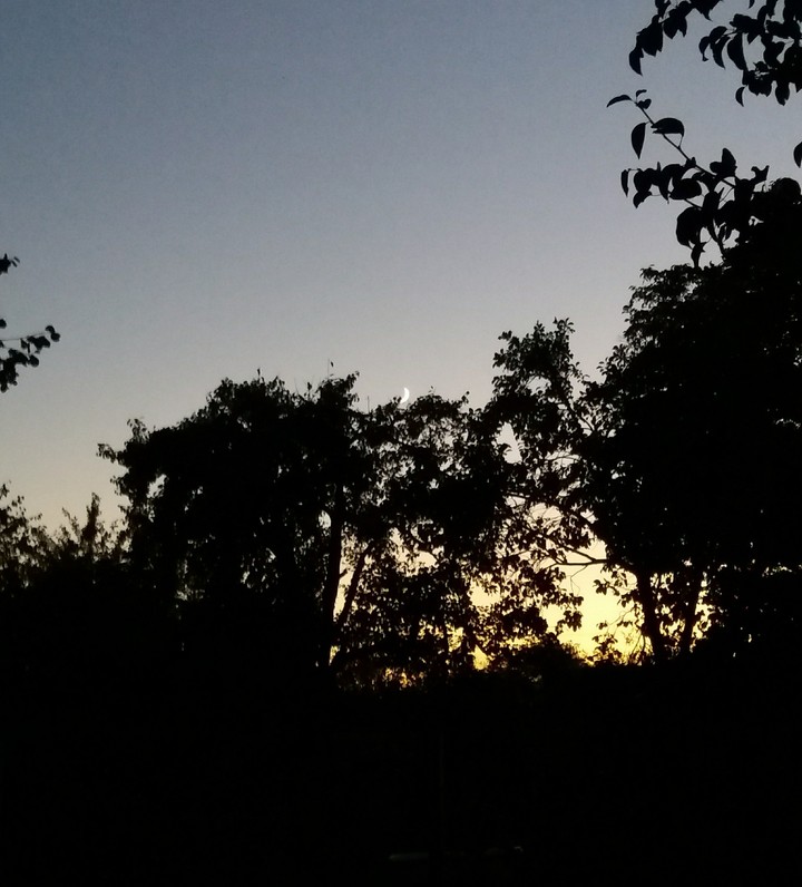 moon