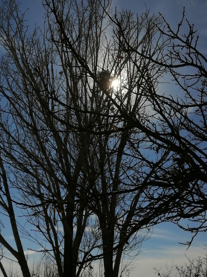 The End of Autumn