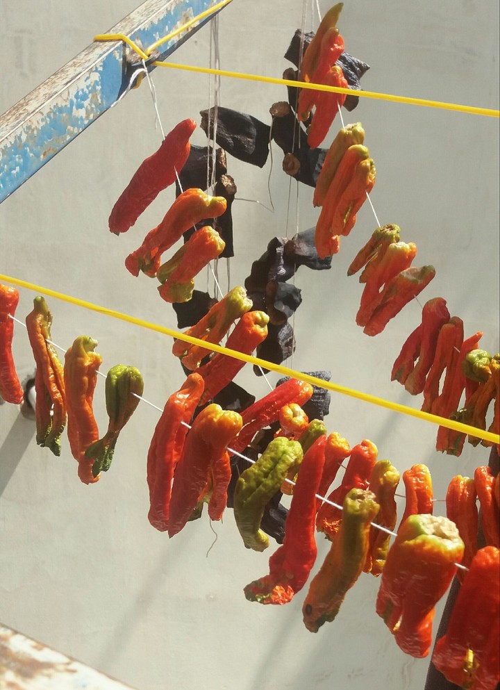 chili peppers
