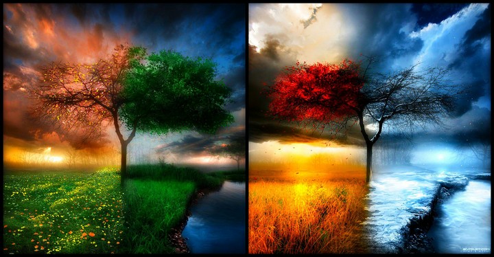 Seasons