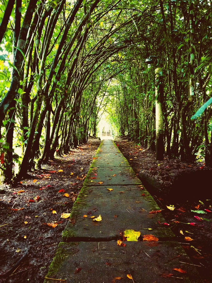 Road to calm