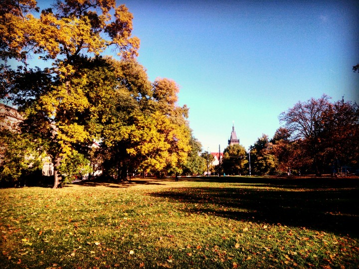 Sunny day in prague