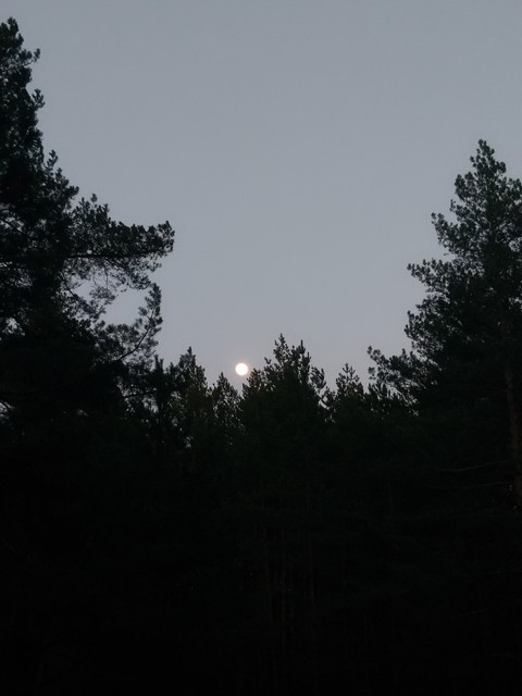 full moon