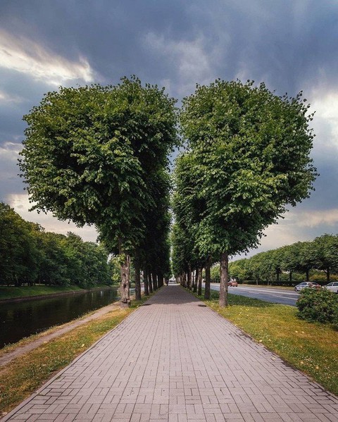 Аллея в Санкт-Петербурге