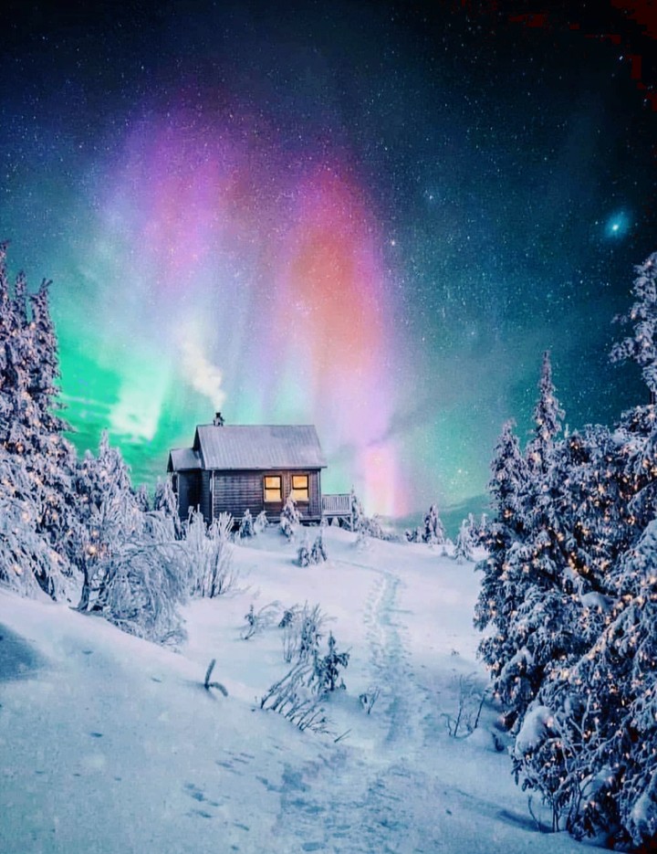 winter