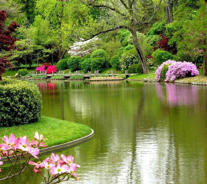 canal beauty
