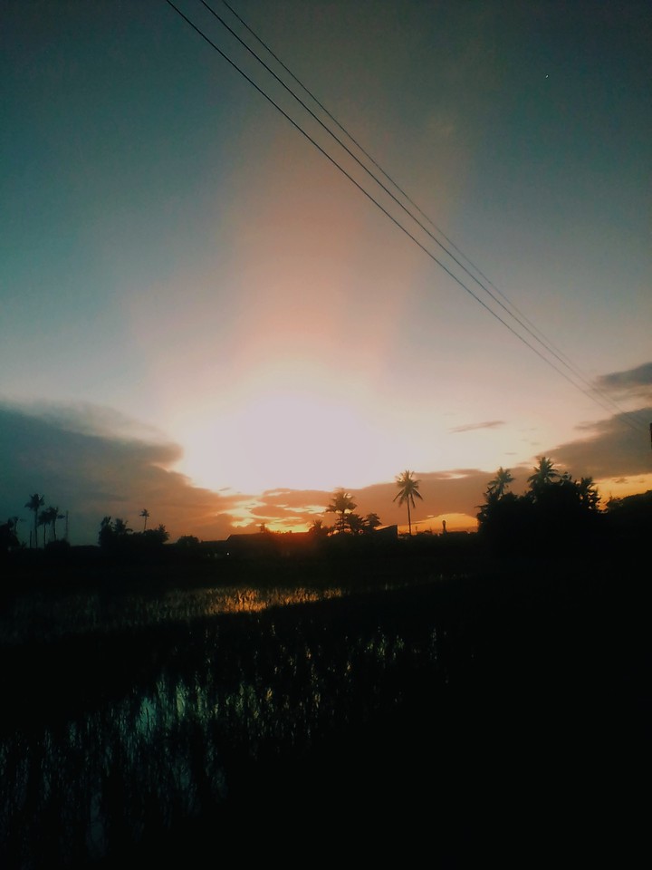Shine
