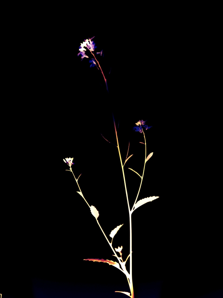 calmness of dark