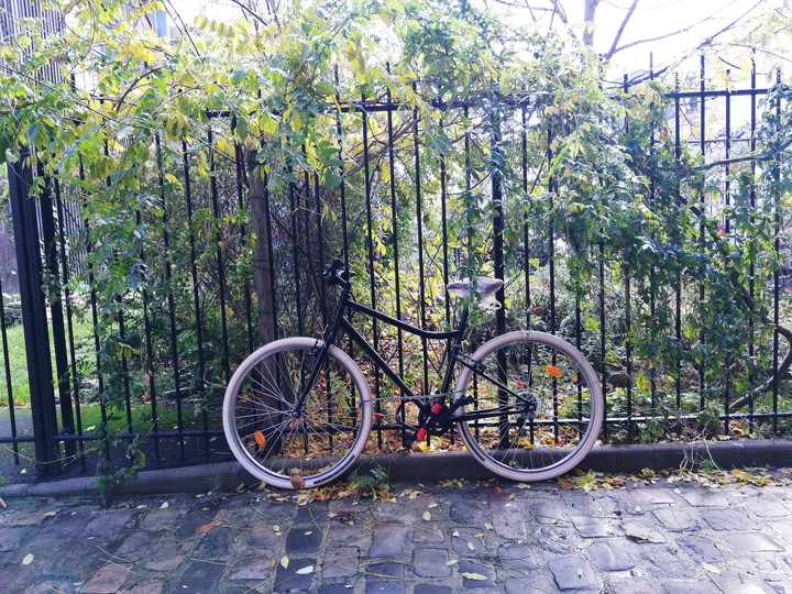 Bici
