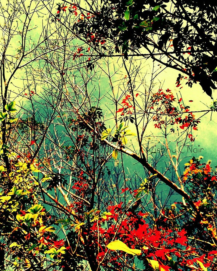 Spring