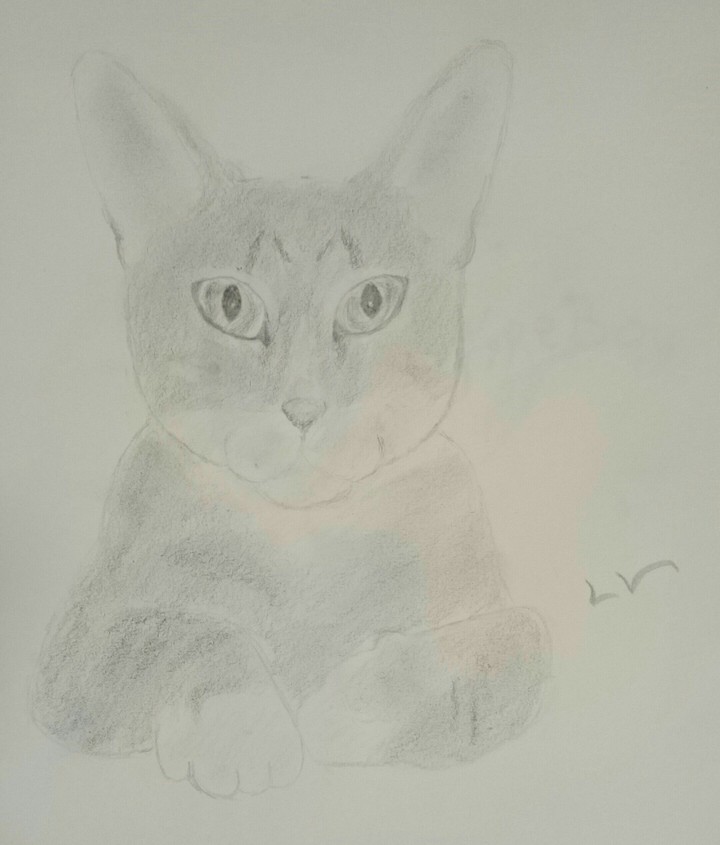 chat