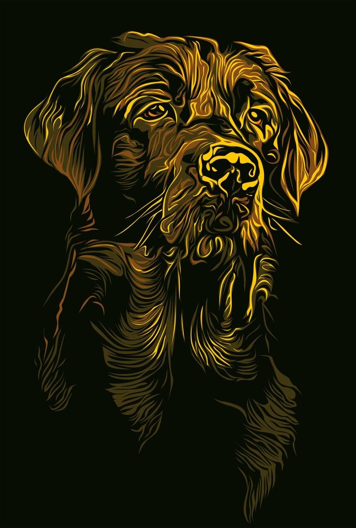 wonderful is Dog.