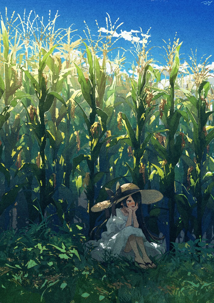 Corn Field