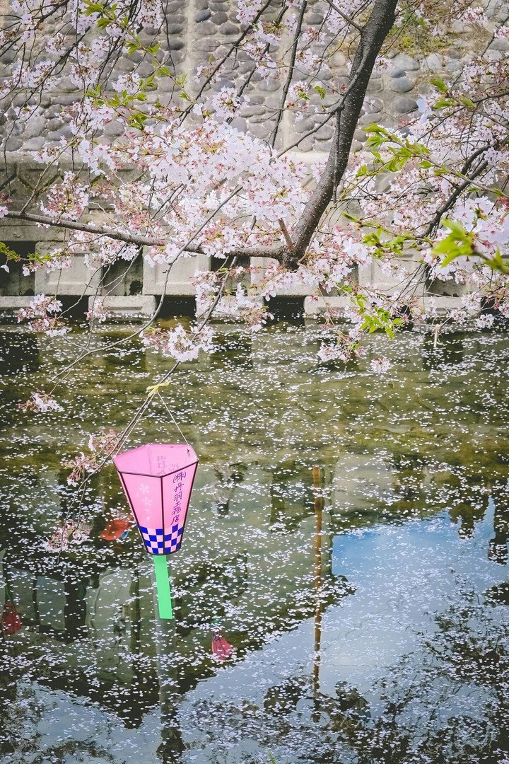 reflection