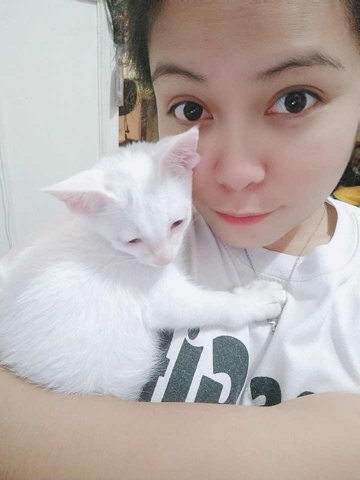 my baby cat