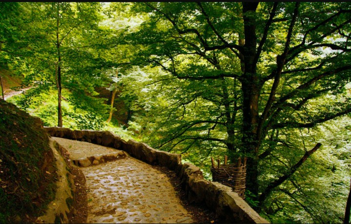 The road