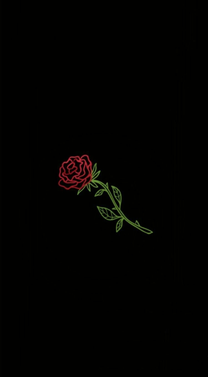 rose