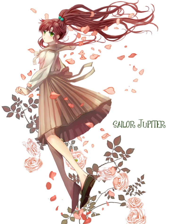 Sailor Moon