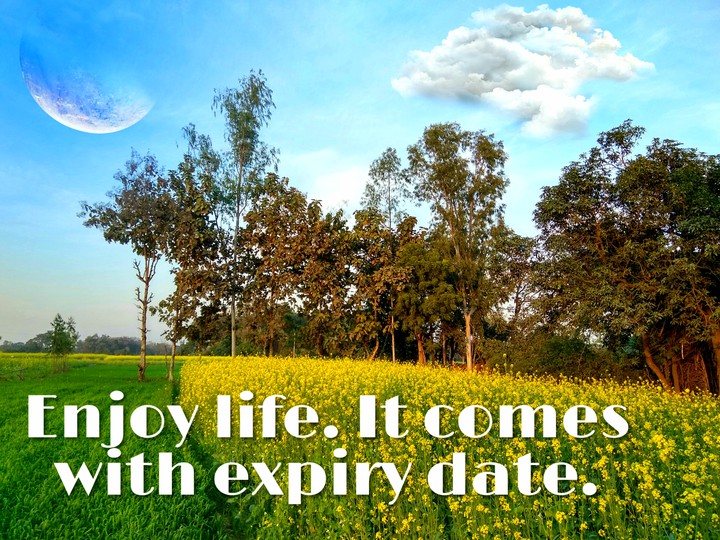 WE ALL HAVE ONE LIFE
