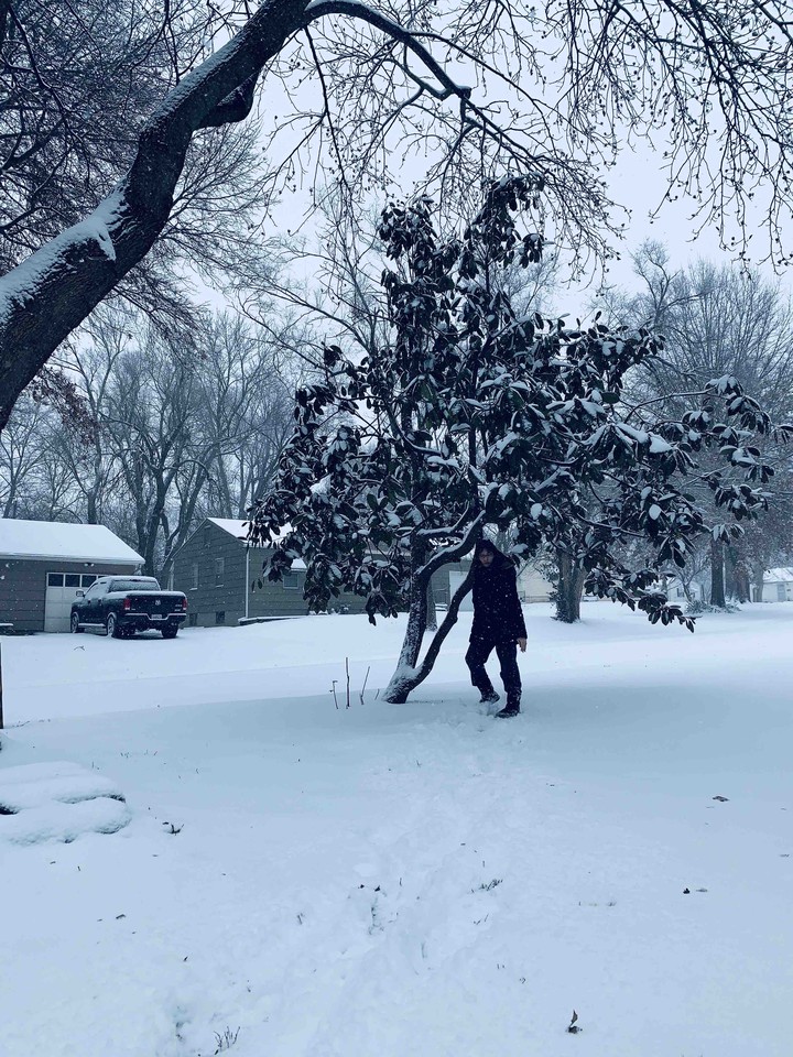 snow day fun