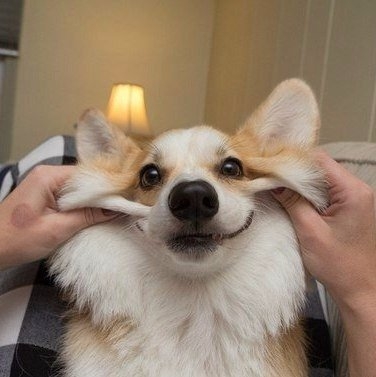 .