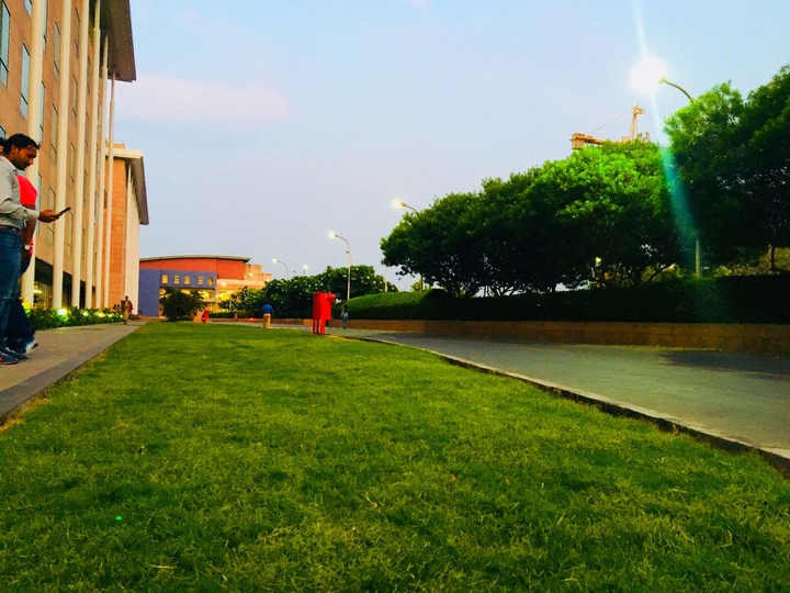 grassy green