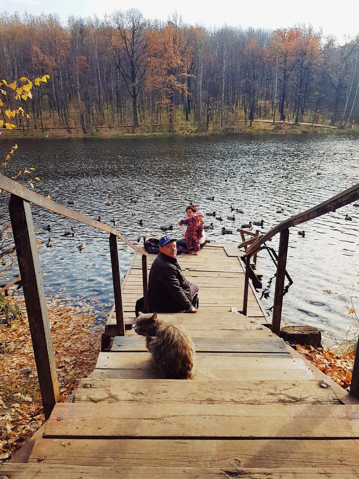 autumn