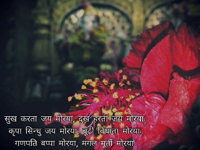 ganpati bappa