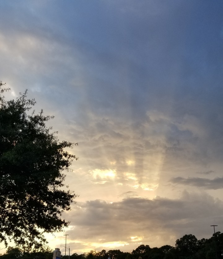 Rays