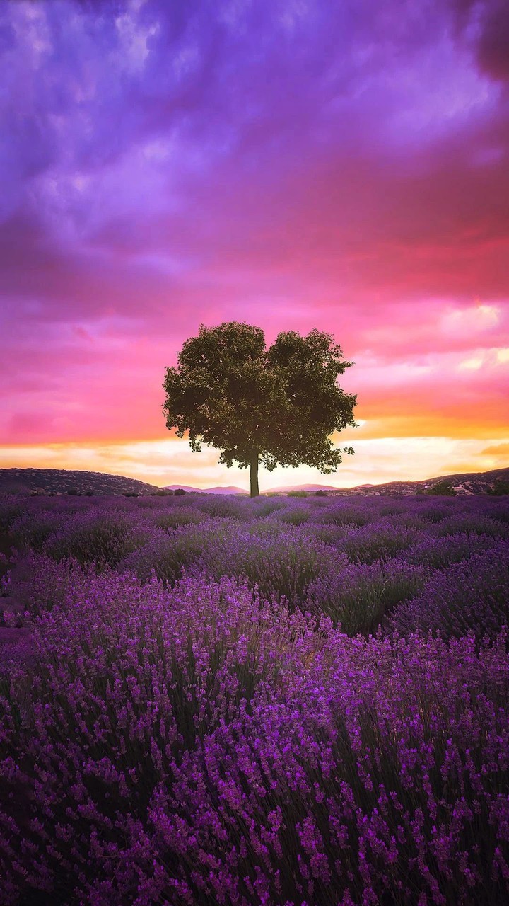 beauty of nature ✨
