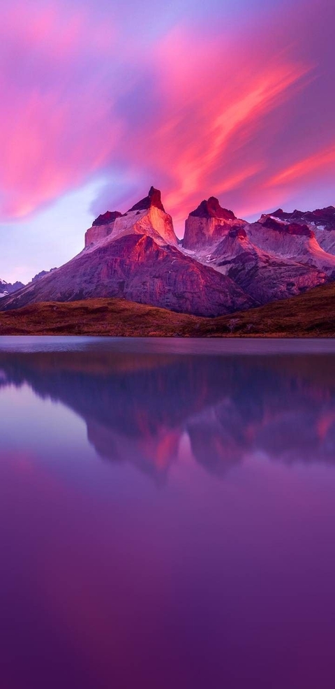 Clear, arboleda Hintergrundbilder