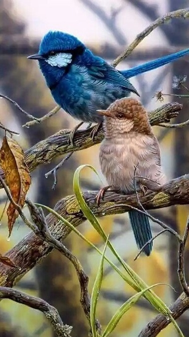 cute bird ❤️