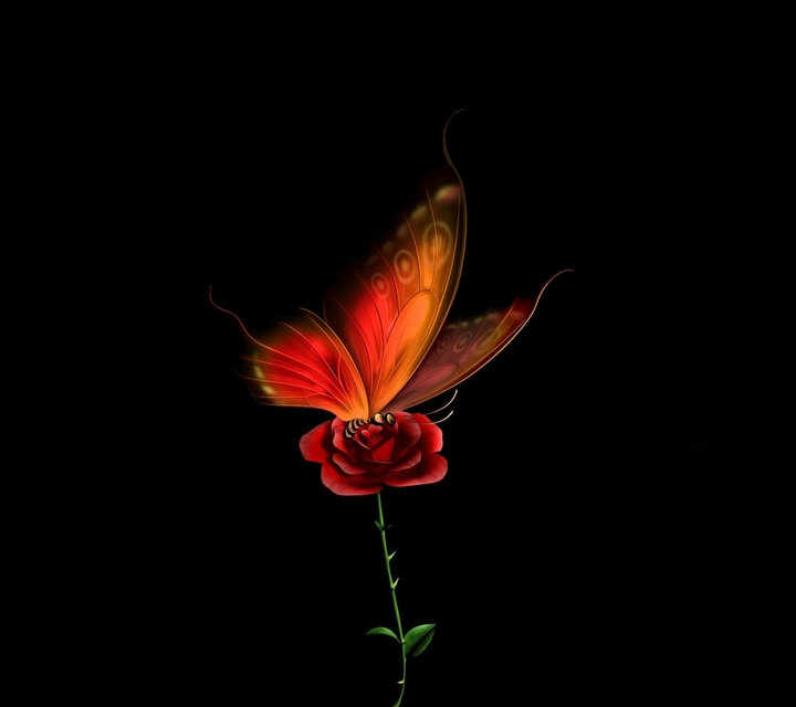 rose07