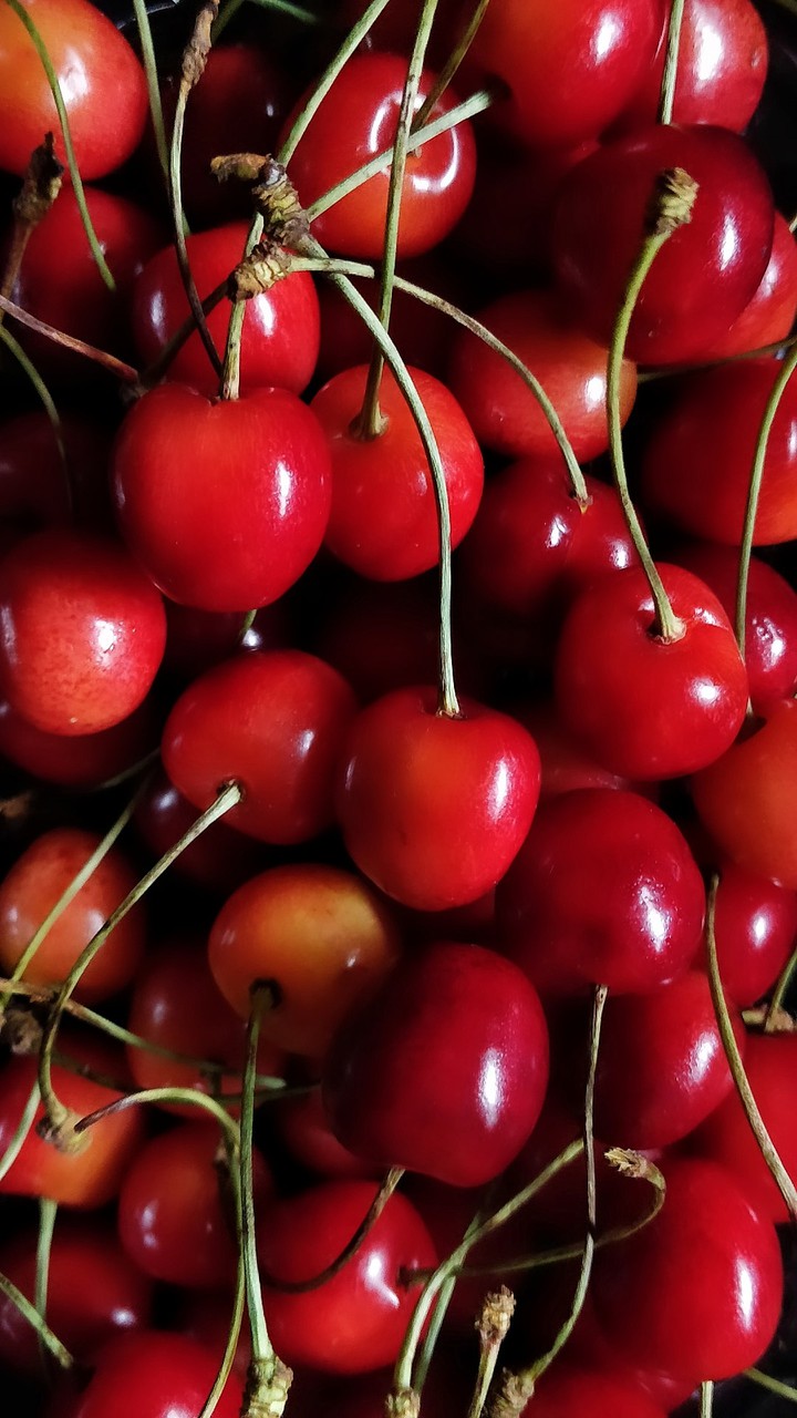 Red Cherries