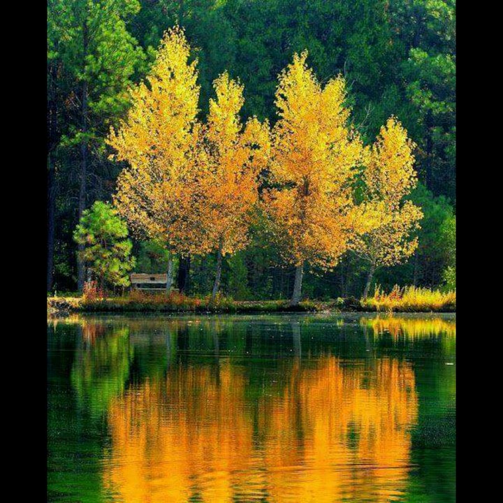 nature! 