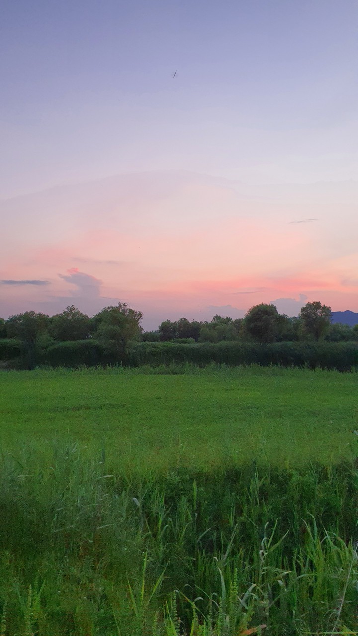 해질녁(sunset)
