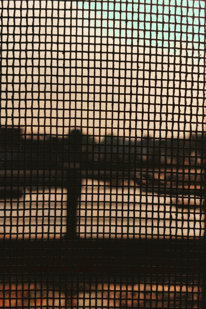 shadow of life