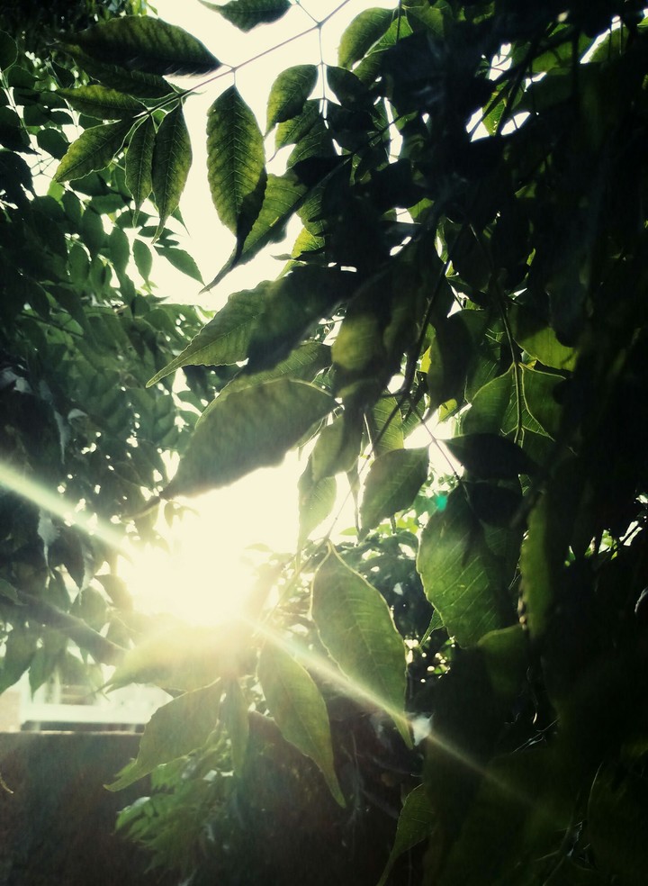 ray of light