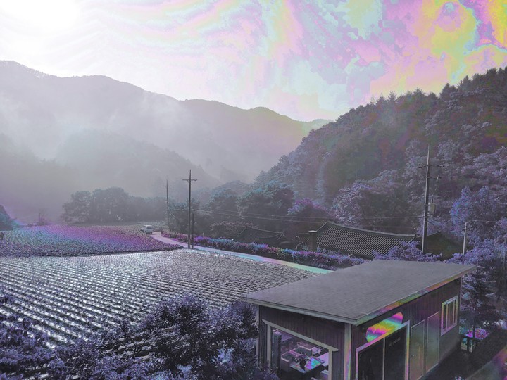 Rainbow Fogs