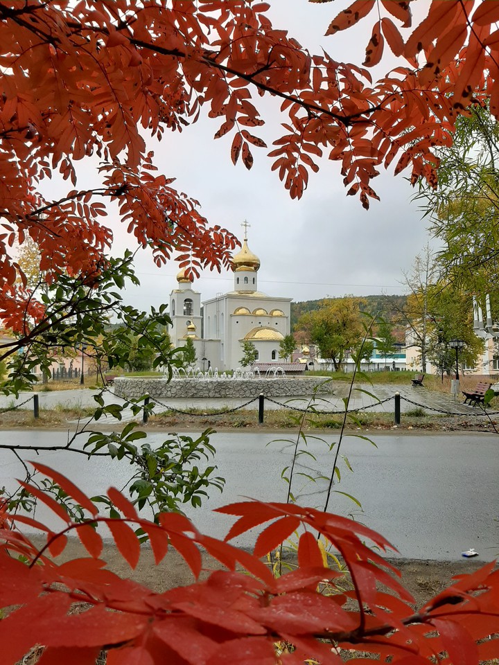 краски осени