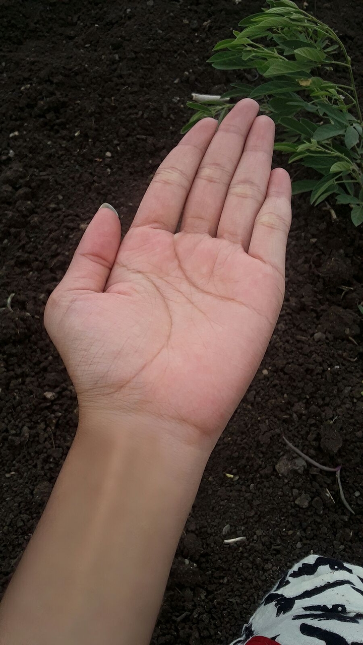 hold my hand