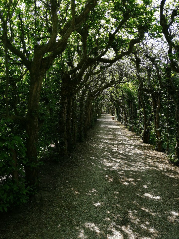 Green tunnel