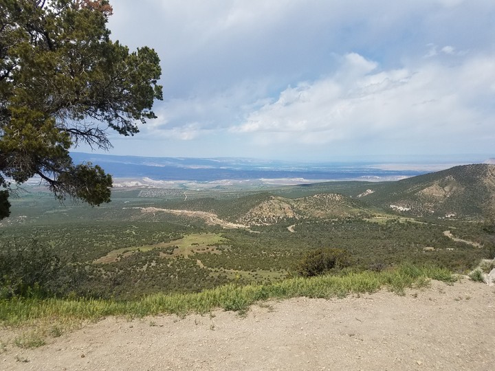 Mesa
